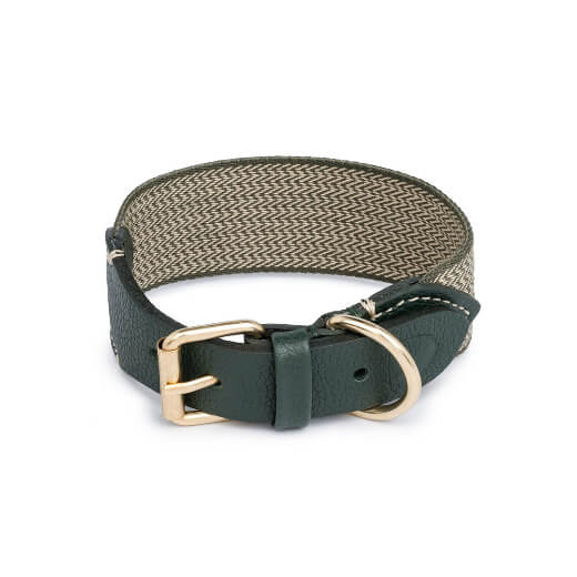 ① Buddys｜James 首輪 Green